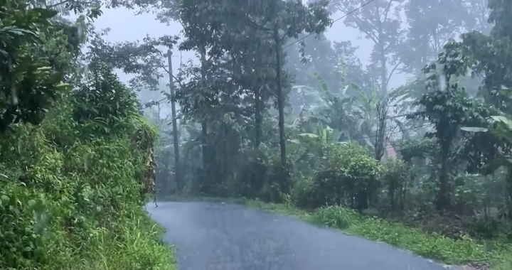 Today's Weather in Nepal